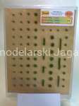 POLAK 4113 DARŃ TRAWY KRÓTKA 3MM ZIEL.LEŚNA B3