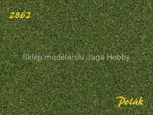 POLAK 2862 NATUREX F ŚREDNI ZIELEŃ DĘBOWA 100ML.