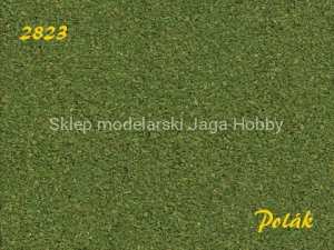 POLAK 2823 NATUREX F GRUBY ZIELEŃ OSIKOWA 100ml.