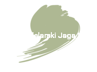 HATAKA BL026 SKY ''TYP S''