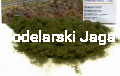 POLAK_6115.JPG
