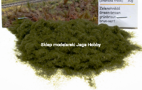 POLAK_6115.JPG