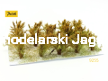 POLAK_9255.JPG