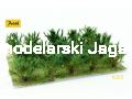 POLAK_9203.JPG