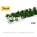 POLAK_9102.JPG