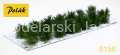 POLAK_9156.JPG