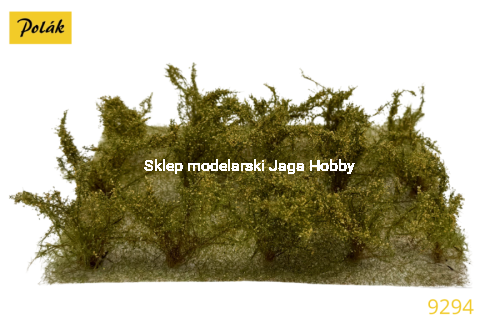 POLAK_9294.JPG