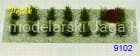 POLAK_9102.JPG
