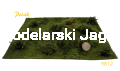 polak_9812.jpg
