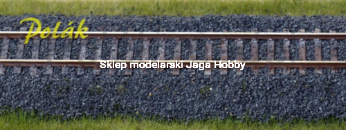 POLAK_5462.JPG