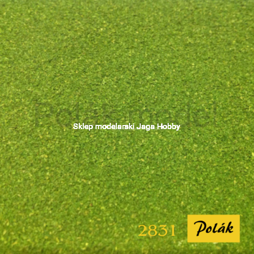 POLAK_2831.JPG