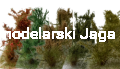 POLAK_9299.JPG