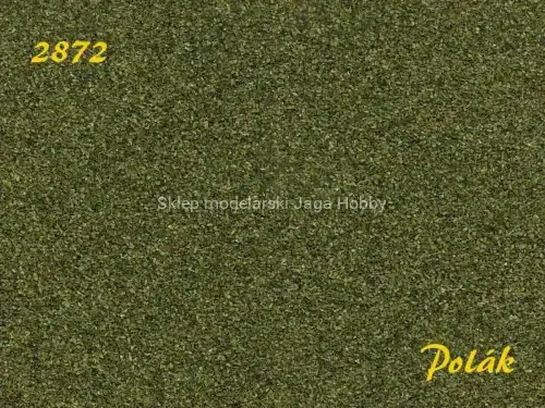 POLAK_2872.JPG