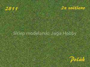POLAK 2811 NATUREX F DROBNY ZIELONY 50ml.