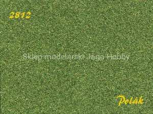 POLAK 2812 NATUREX F ŚREDNI ZIELONY 100ml.