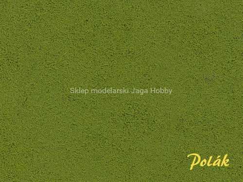 POLAK_2130.JPG