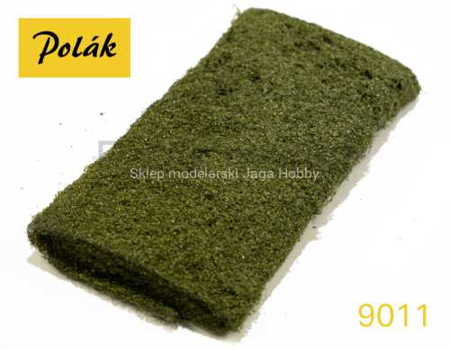 polak_9011.jpg
