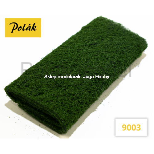 polak_9003.jpg