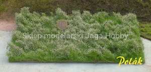 POLAK 5911 DZIKIE KRZAKI KWITNĄCE BIAŁE