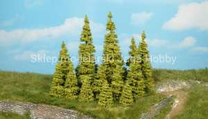 HEKI 2147 LARCH 7-11 CM.OP.7SZT