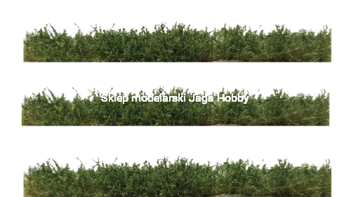 29771_8906