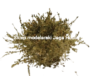 HOBBY ONLINE 9117  NISKIE KRZAKI JESIENNE